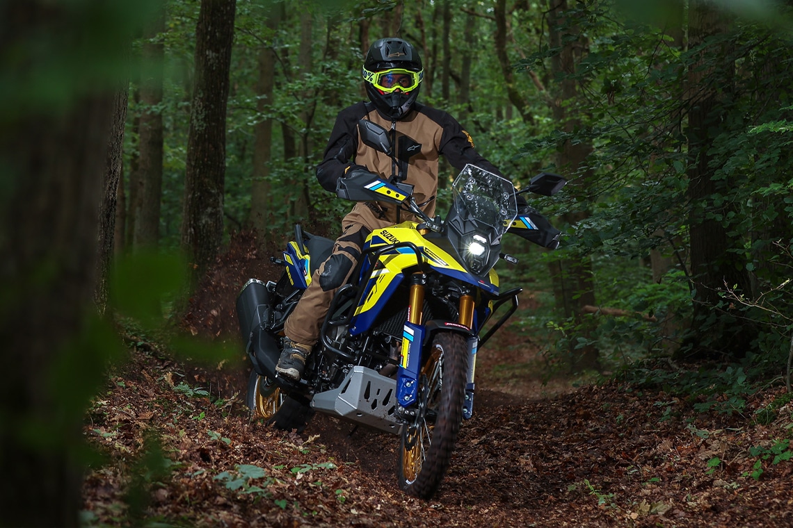 V-Strom 800DE Rally Edition