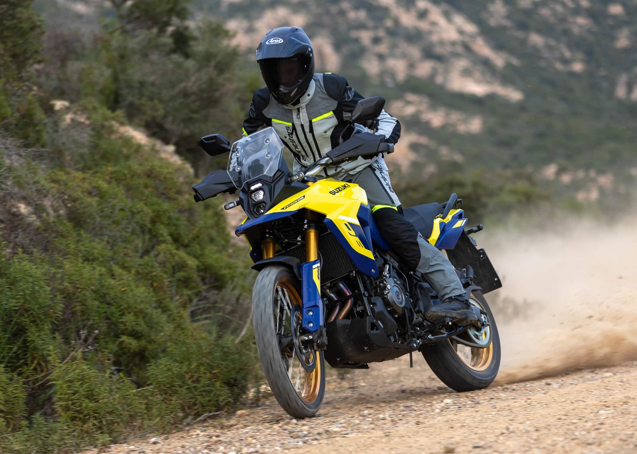 V-Strom 800DE